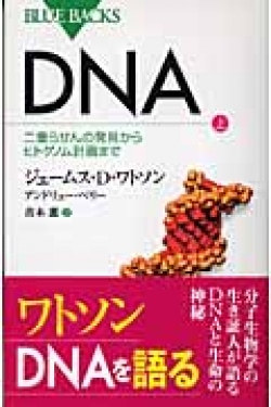 DNA（上）