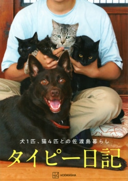 タイピー日記「犬1匹、猫4匹との佐渡島暮らし」