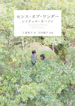 どうすれば子どもが自然を愛する人に育つか レイチェル カーソンの遺産から学ぶ 特別対談 上遠恵子 福岡伸一 対談 鼎談 Book Bang ブックバン