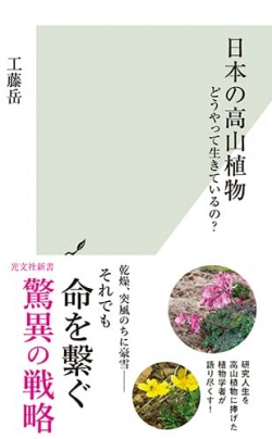 日本の高山植物