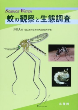 蚊の観察と生態調査
