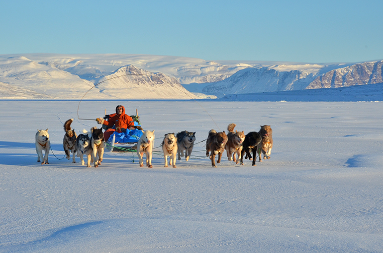 グリーンランド最北端の村シオラパルクで、広大な海氷原に犬ゾリを走らせる