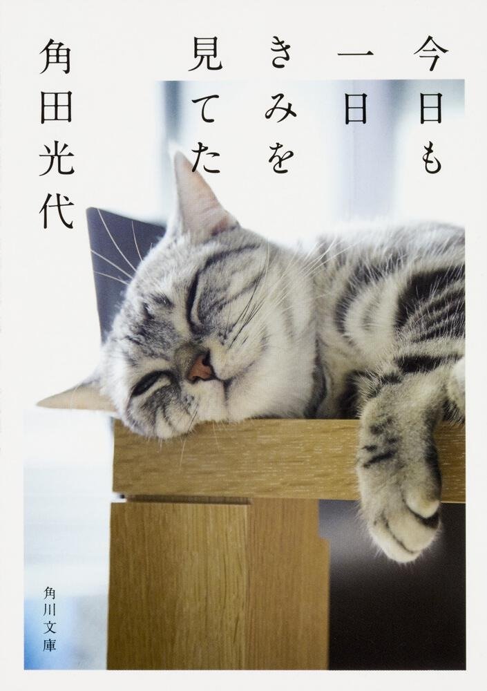2月22日は“猫の日”！　猫文芸７（ニャニャ）選！