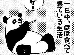 憧れのグータラ生活に隠された苦労⁉ 漫画家・渡邉ポポが読む『知らなかった！ パンダ』